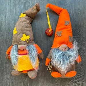 Fall gnomes 🎃